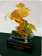 中國電子信息行業(yè)市場飛馬獎(jiǎng)